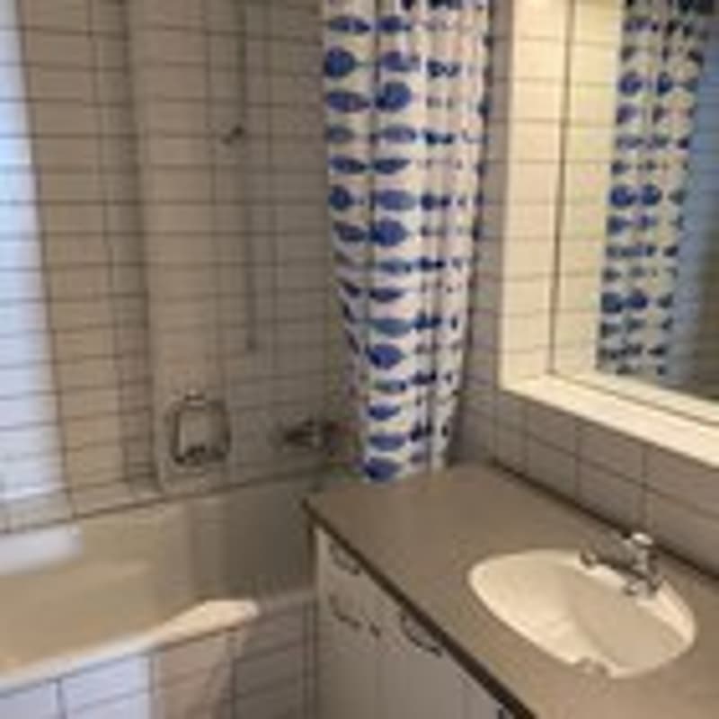 Tiled floor, white vanity with sink, mirror, shower curtain, window