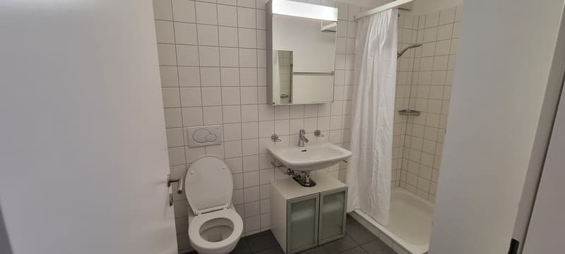 Tiled bathroom with a toilet, sink, vanity cabinet, and shower curtain