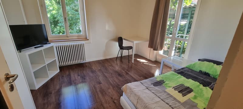 bedroom with bed, desk, tv, radiator, 2 windows, curtains, hardwood floor