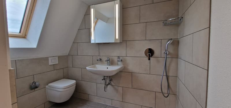 small bathroom with white tiles, toilet, sink, shower, mirror