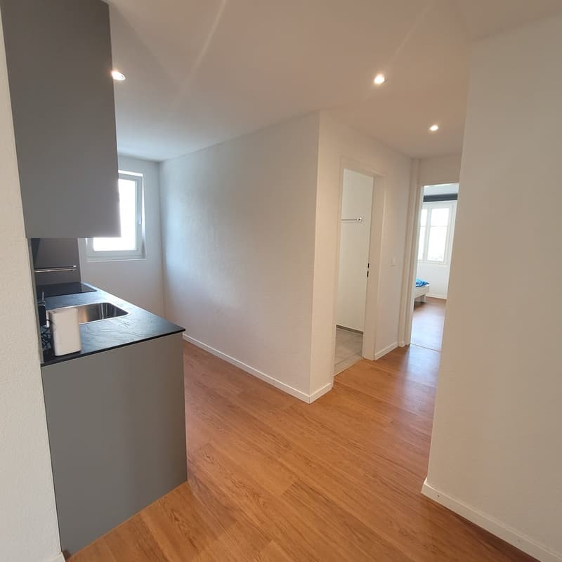 open kitchen, white walls, wooden floors, kitchen sink, dishwasher, window, walk-in door