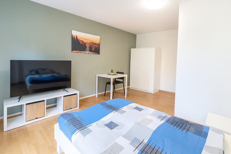 Modernes, voll möbliertes Zimmer (1)