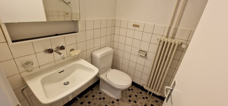 Attraktive 2.5 Zimmer Wohnung | modern & bezugsbereit (7)