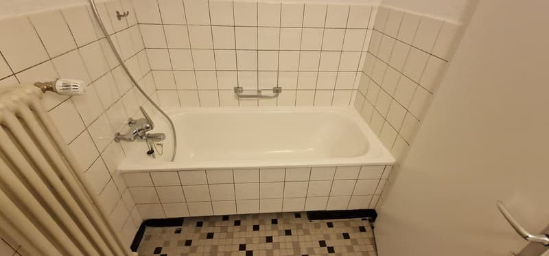 Attraktive 2.5 Zimmer Wohnung | modern & bezugsbereit (8)