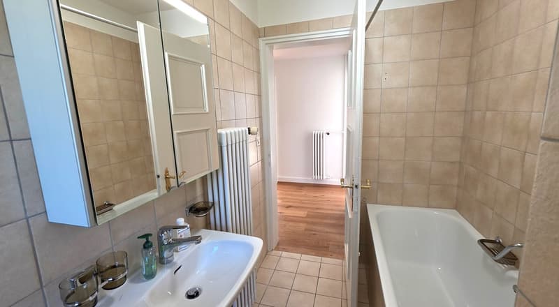 Charmante 2-Zimmer-Wohnung mit Balkon und Aussicht in Zürich-Höngg (10)