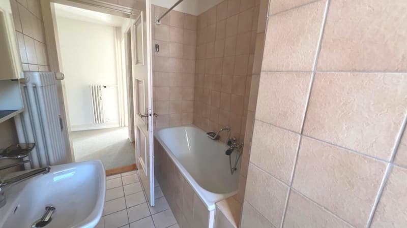 Incantevole appartamento di 2 camere con balcone e vista a Zürich-Höngg (2)