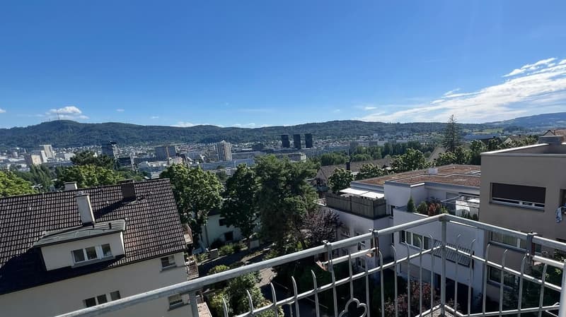 Incantevole appartamento di 2 camere con balcone e vista a Zürich-Höngg (14)
