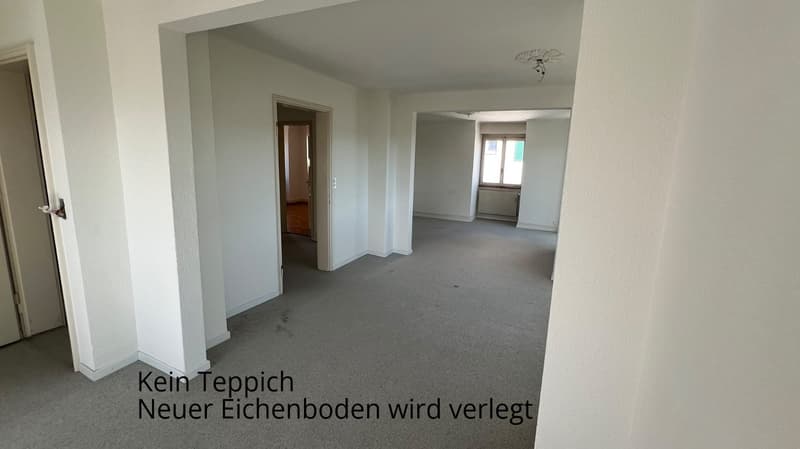 Incantevole appartamento di 2 camere con balcone e vista a Zürich-Höngg (10)