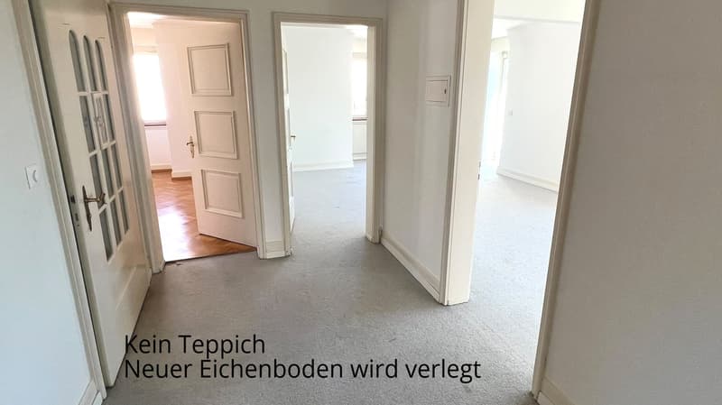 Incantevole appartamento di 2 camere con balcone e vista a Zürich-Höngg (11)