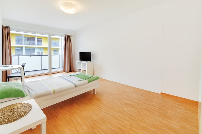 Günstiges, möbliertes Business Apartment mit moderner Möblierung (1)