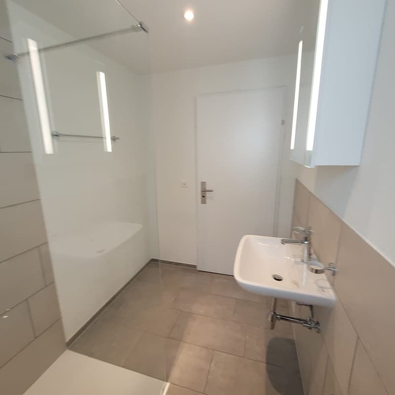 Günstiges, möbliertes Business Apartment mit moderner Möblierung (3)