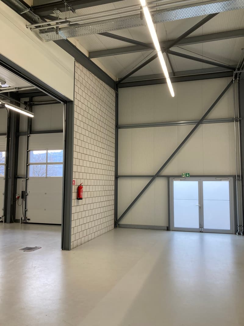 Gewerbehalle für Profis (4)
