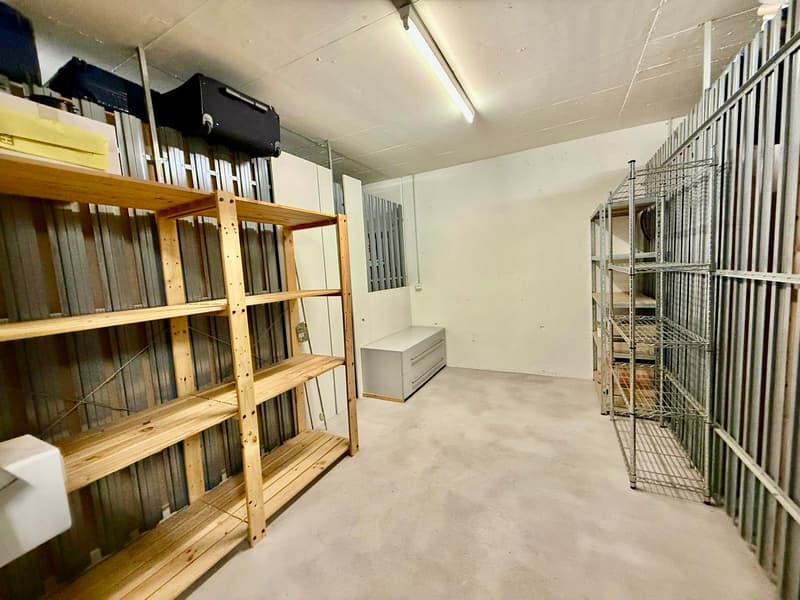 Sonnige 3.5-Zimmer-Wohnung mit Wintergarten und Rundumbalkon in Stallikon (24)