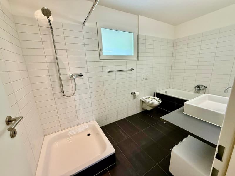 Sonnige 3.5-Zimmer-Wohnung mit Wintergarten und Rundumbalkon in Stallikon (21)