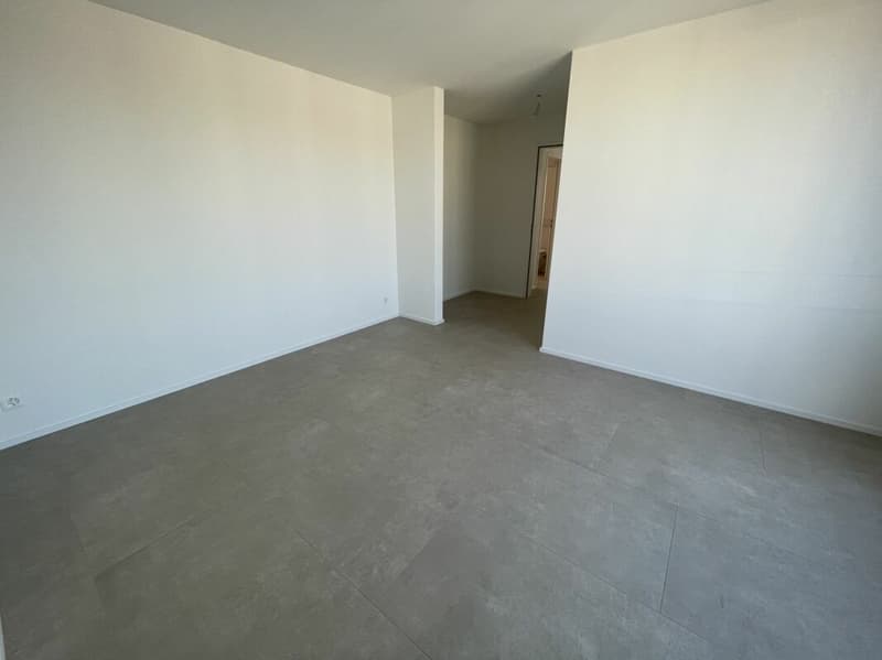 Moderno 3.5 locali (4)