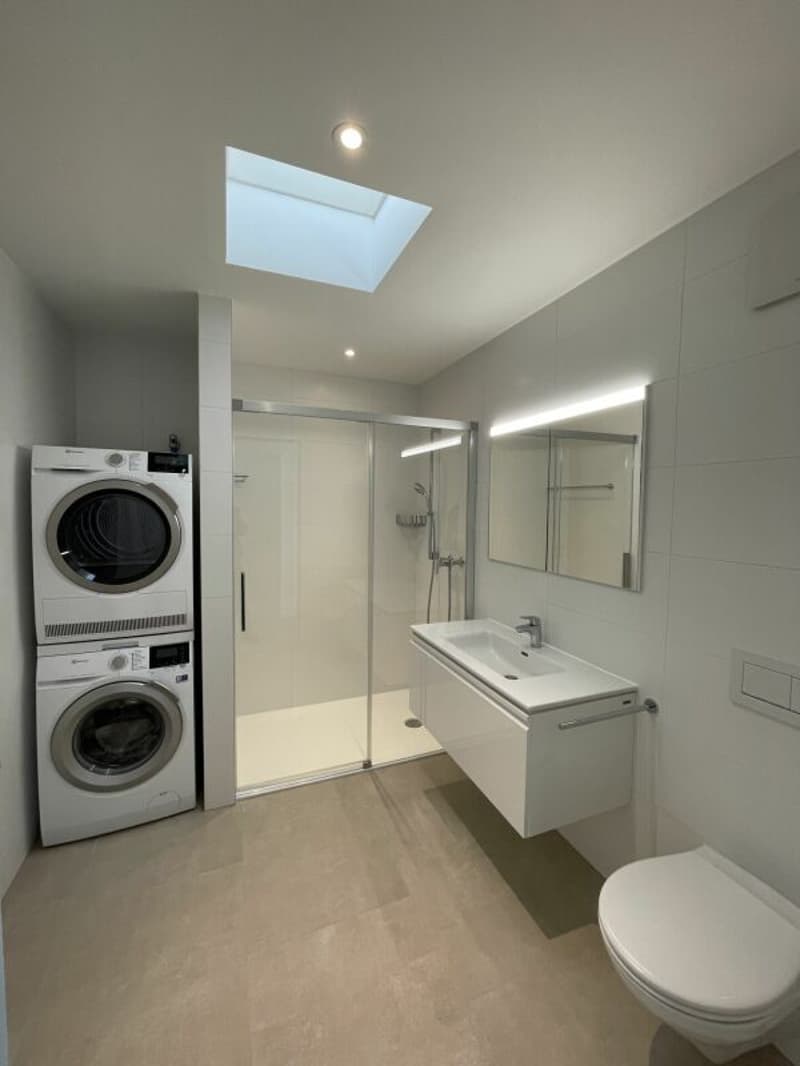 Moderne 3.5 camere (3)