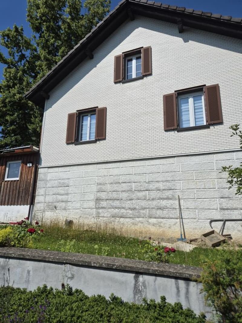 Bauernhaus mit grossem Garten zu vermieten (1)