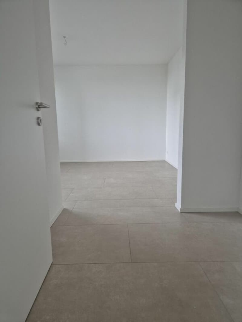Moderne 3.5 Zimmer (5)