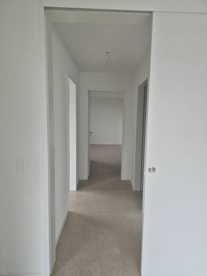 Moderne 3.5 Zimmer (4)