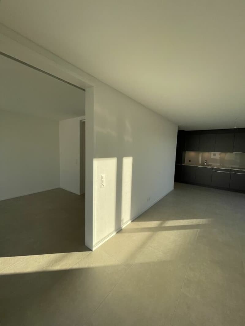 Moderne 3.5 Zimmer 3.OG (2)