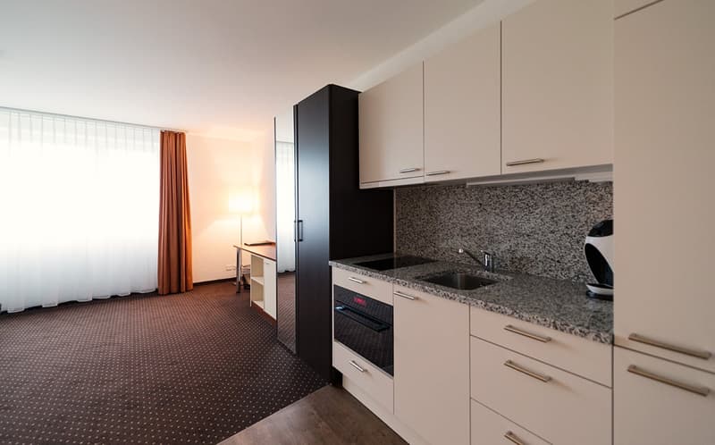 Accogliente appartamento/studio monolocale al Motel Fehraltorf (3)