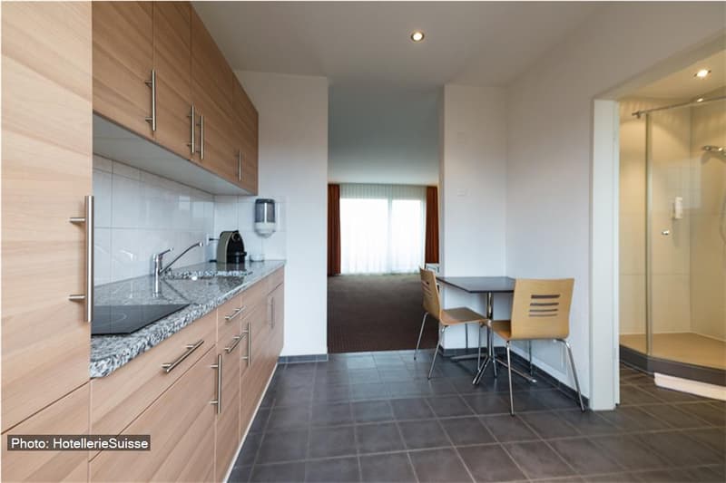 Appartement Loft Moderne avec Balcon à Fehraltorf (4)