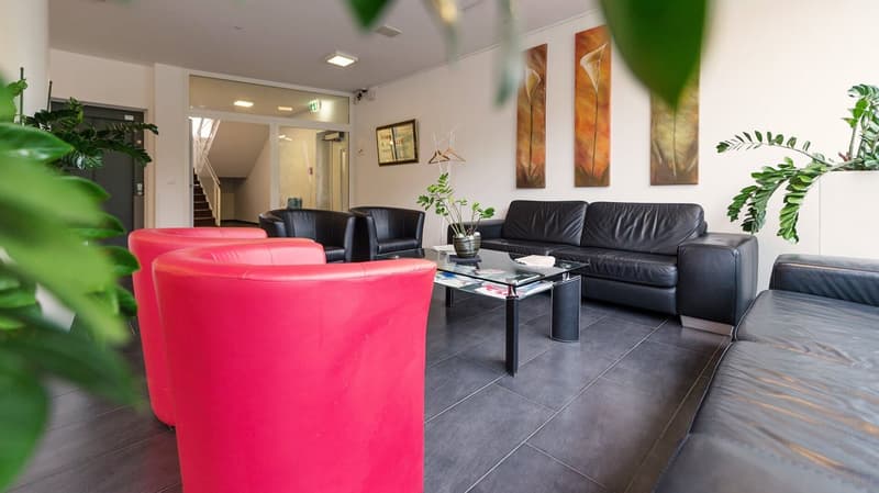 Appartement Loft Moderne avec Balcon à Fehraltorf (2)