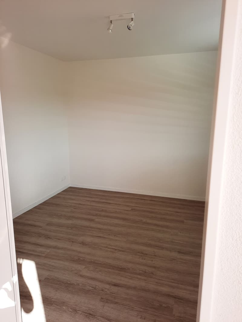 Modern Loft Apartment with Balcony in Fehraltorf (9)