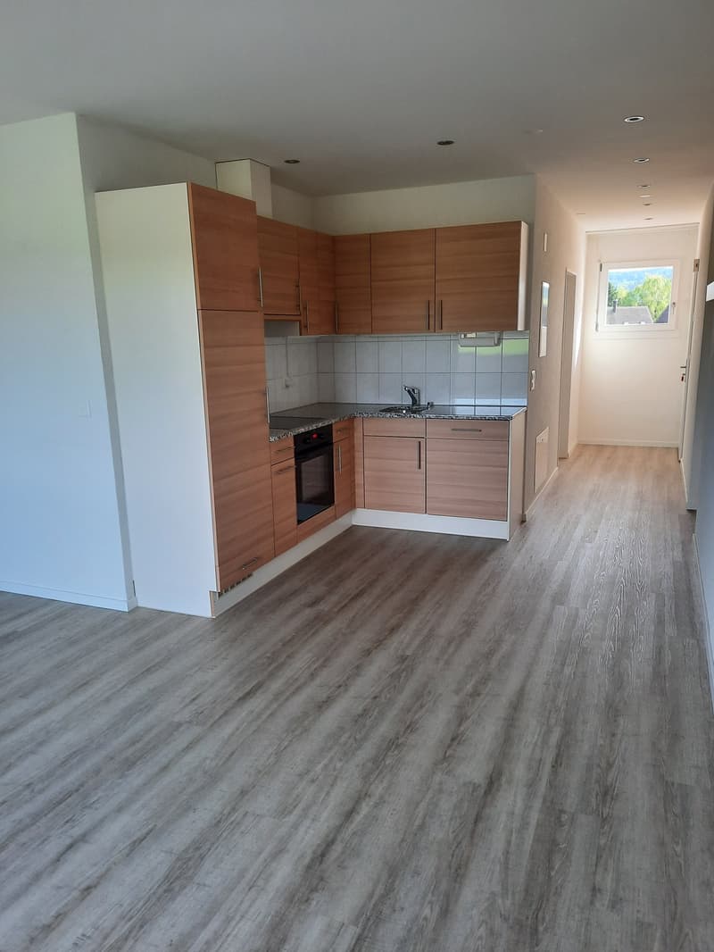 Modern Loft Apartment with Balcony in Fehraltorf (4)