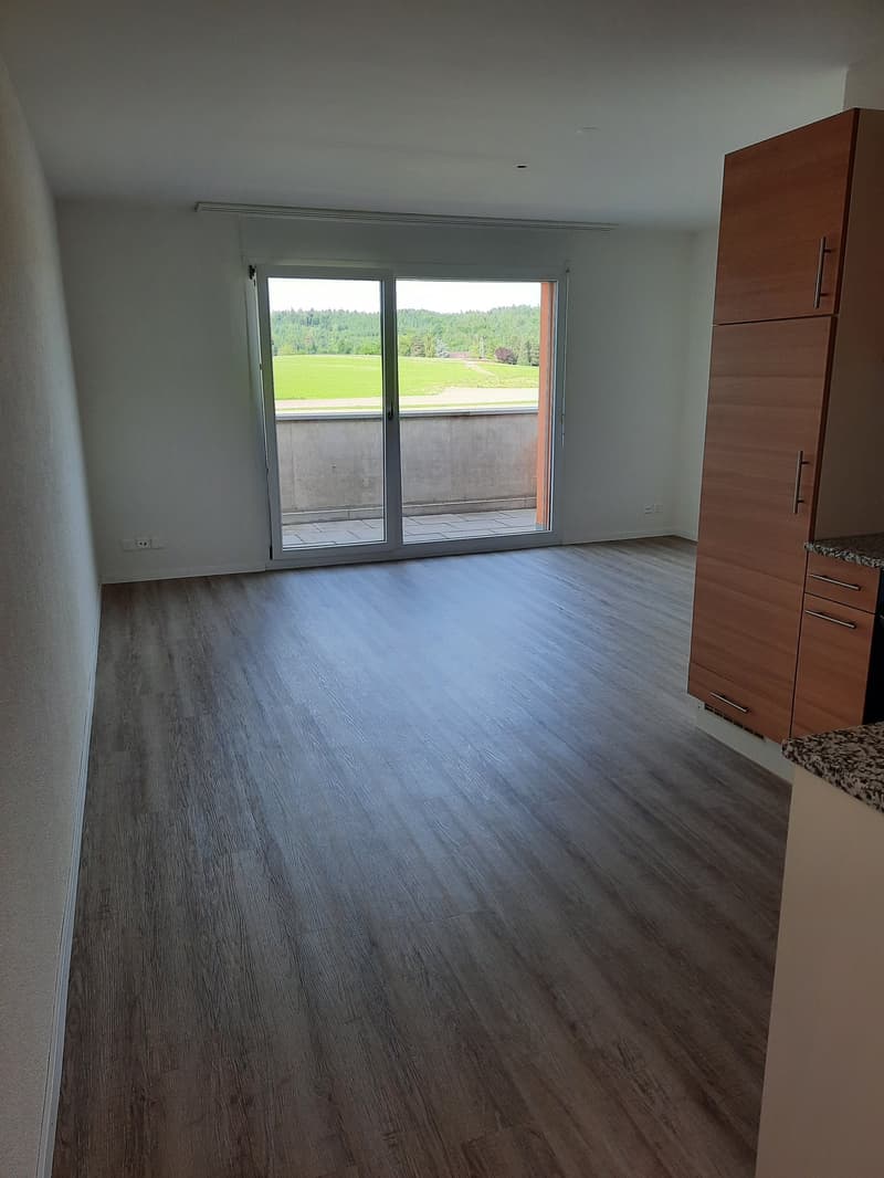 Modern Loft Apartment with Balcony in Fehraltorf (5)