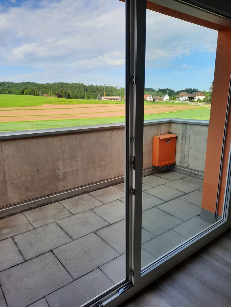 Modern Loft Apartment with Balcony in Fehraltorf (6)