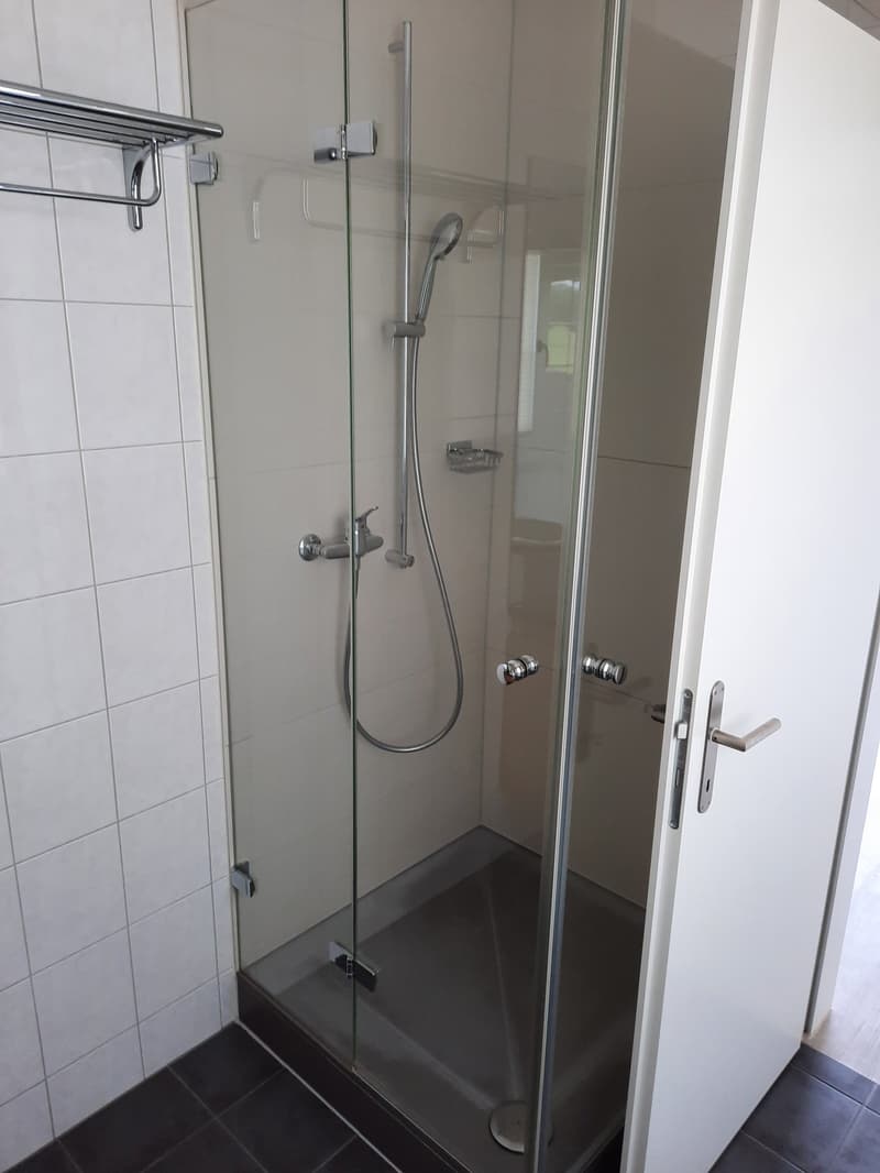 Modern Loft Apartment with Balcony in Fehraltorf (8)