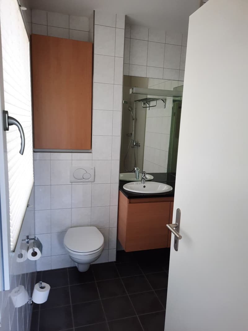 Modern Loft Apartment with Balcony in Fehraltorf (7)