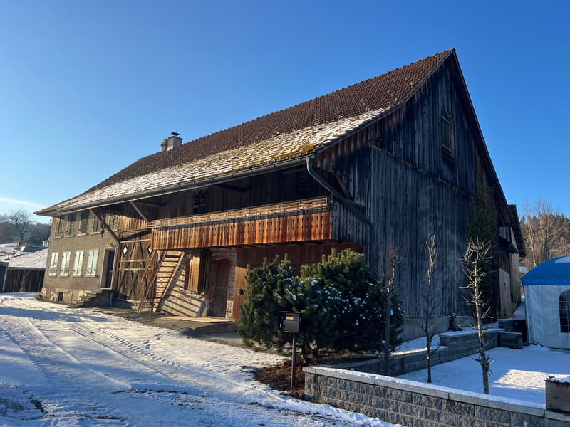 Vielseitiger Lagerraum in ruhiger Lage Madetswil (4)