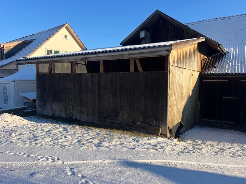 Vielseitiger Lagerraum in ruhiger Lage Madetswil (2)