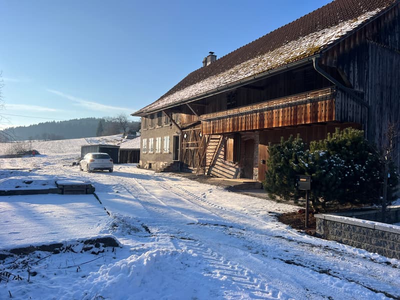 Maison de paysan charmante de 1840 dans un endroit calme à Madetswil (2)