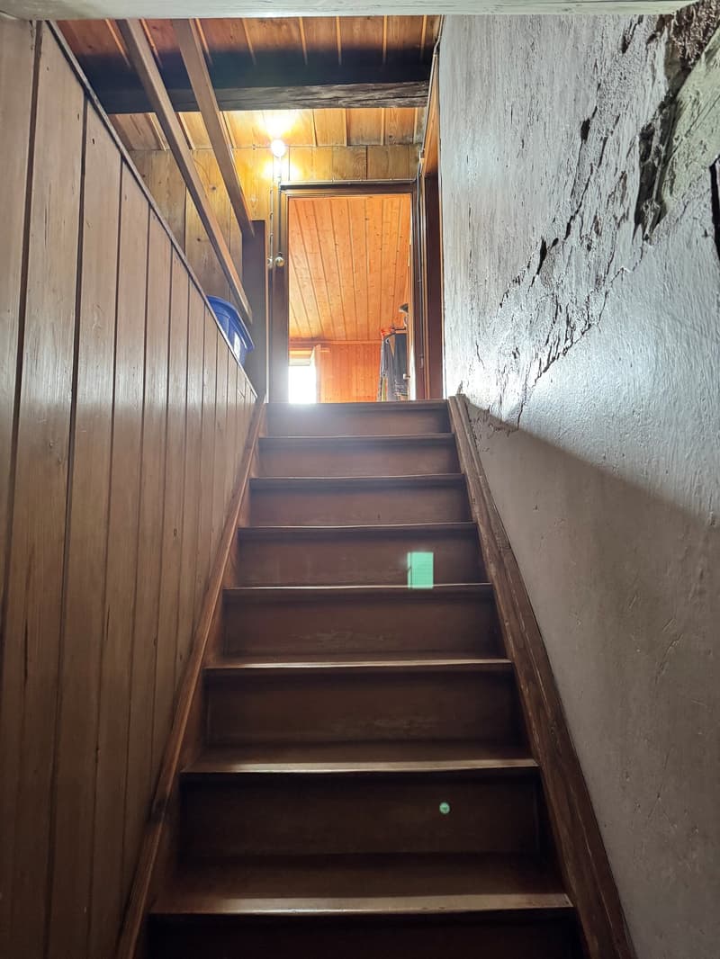 Wooden staircase, wooden panels on the wall, wooden ceiling