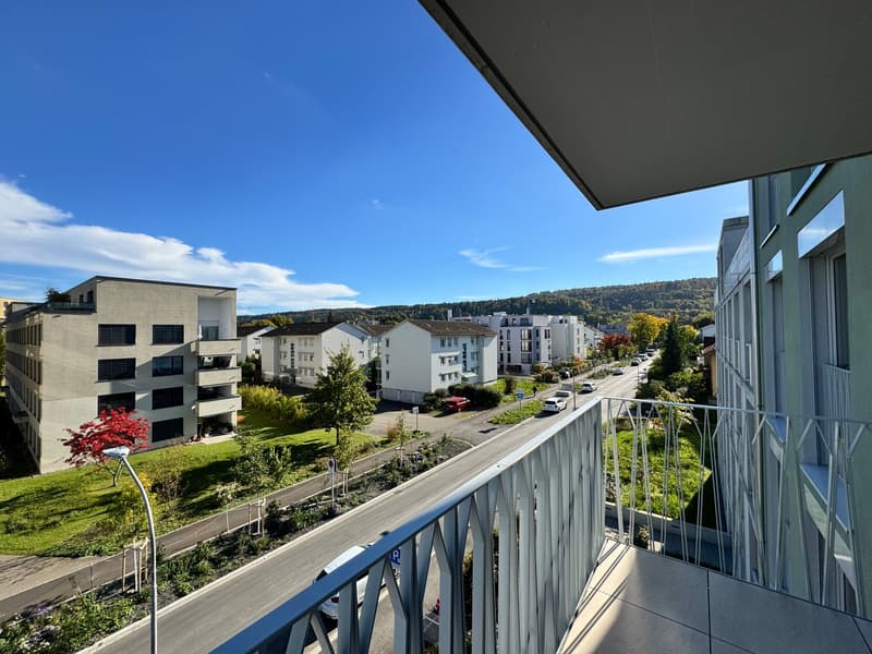 Erstbezug 4.5-Zimmer-Neubau-Wohnung mit Balkon und Stadtblick (3)