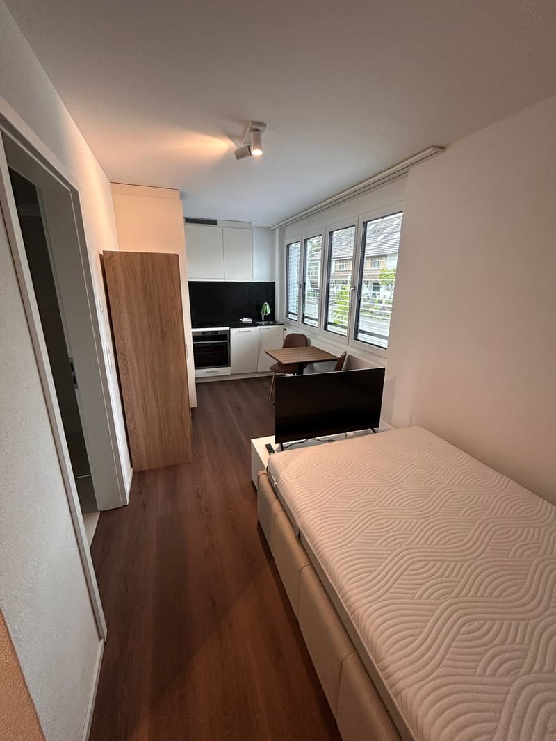 Möbliertes Studio-Apartment im Neubau – Russikon, Madetswilerstrasse 18 (1)