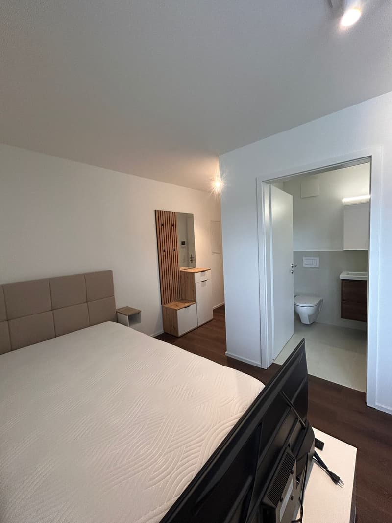 Möbliertes Studio-Apartment im Neubau – Russikon, Madetswilerstrasse 18 (3)