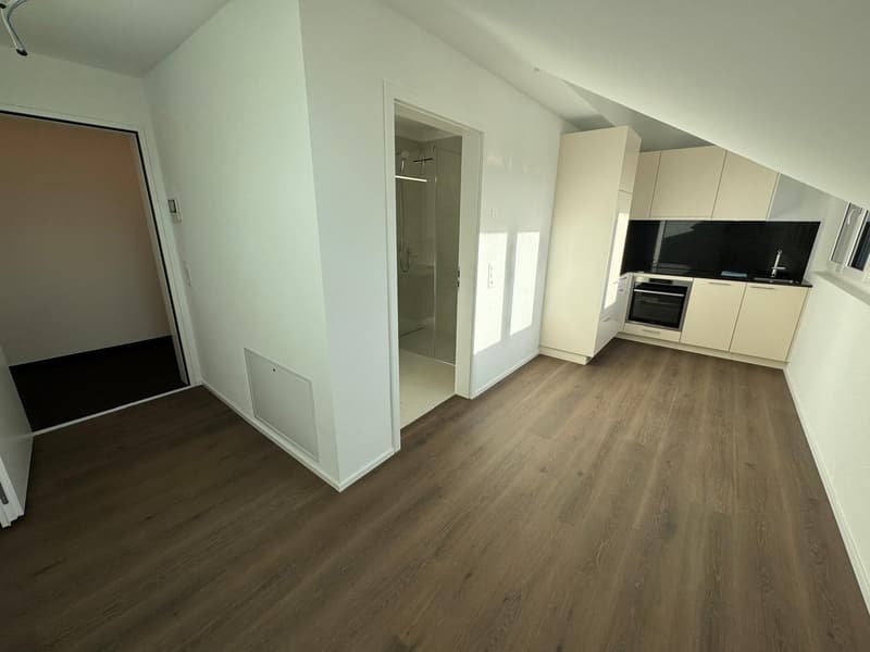 1-Zimmerwohnung im Grünen mit modernem Innenausbau (3)