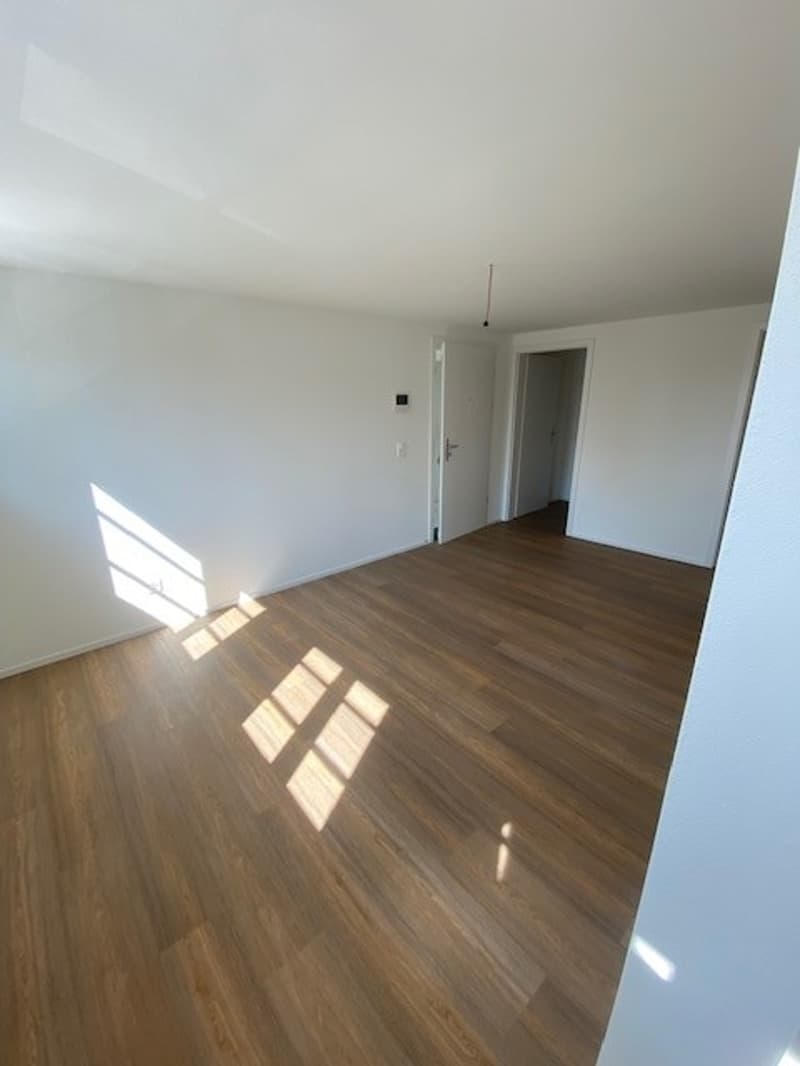 Charmant appartement 1.5 pièces avec balcon à Fehraltorf (3)