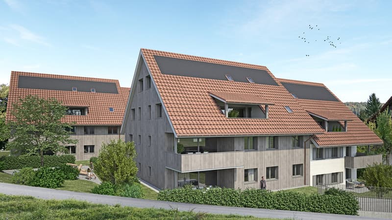 Moderne 3.5-Zimmer-Dachwohnung im Neubau – Am Gsangbach 2, Madetswil (1)