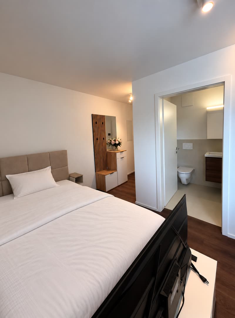 Möbliertes Studio-Apartment – Russikon, Madetswilerstrasse 18 (3)