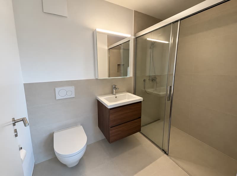 Möbliertes Studio-Apartment – Russikon, Madetswilerstrasse 18 (4)