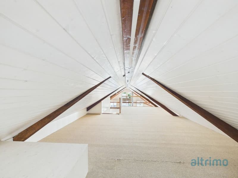 Grosszügige Dachwohnung mit 178m2! (12)