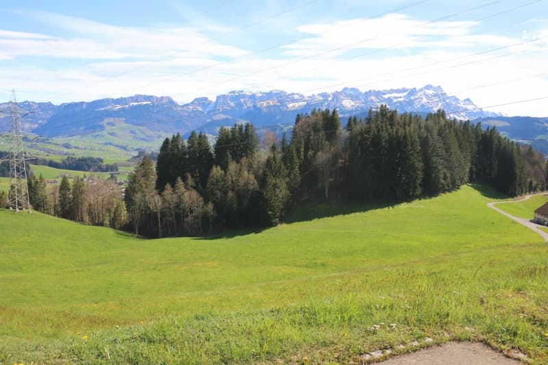 Ansicht Parzellen Nr. 1777 und Nr. 1799 mit Aussicht Richtung Süden