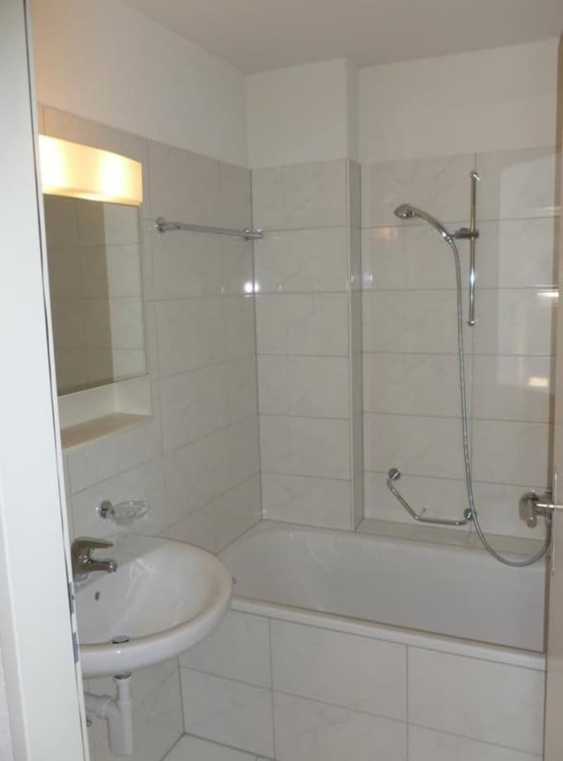 Bathtub, sink, mirror, shower, tiles, silver faucet