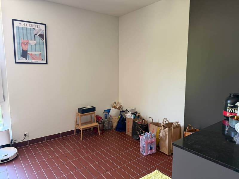 Appartamento 4 ½ locali, 8041 Zurigo (8)