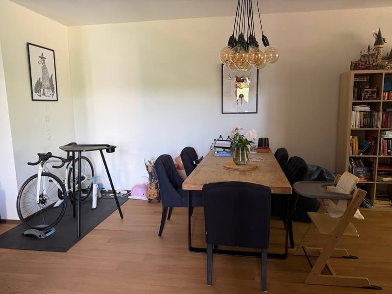 Appartamento 4 ½ locali, 8041 Zurigo (10)